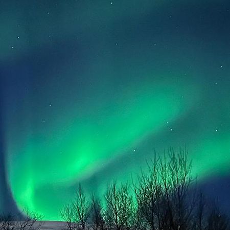 Tromsdalen Aurora Apartments 特罗姆瑟 外观 照片