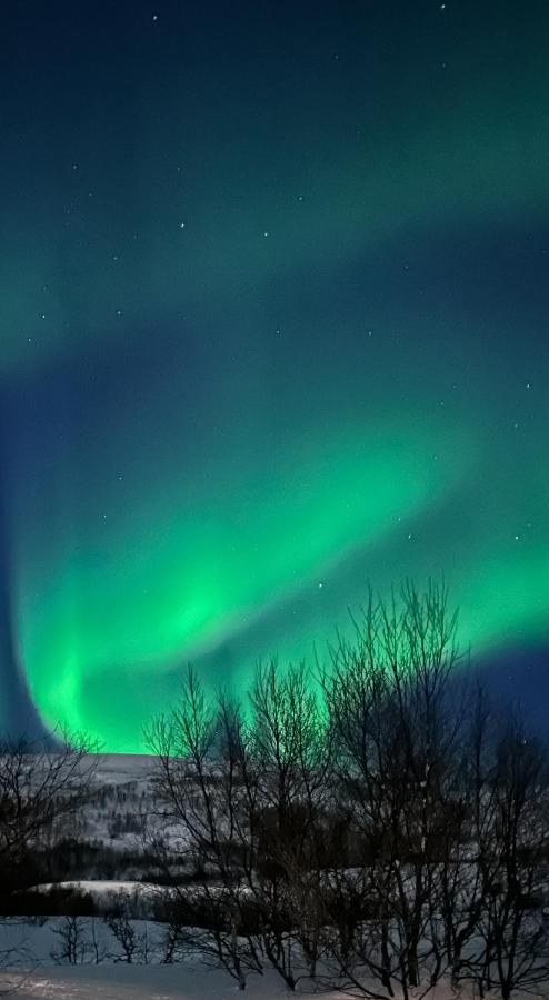 Tromsdalen Aurora Apartments 特罗姆瑟 外观 照片